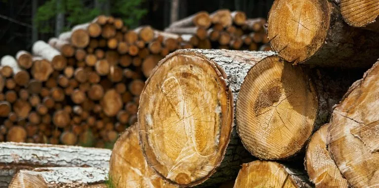 Holzstapel zur Symbolisierung der aktuellen hohen Preise